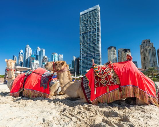 Top Leisure Activities to Enjoy in Dubai