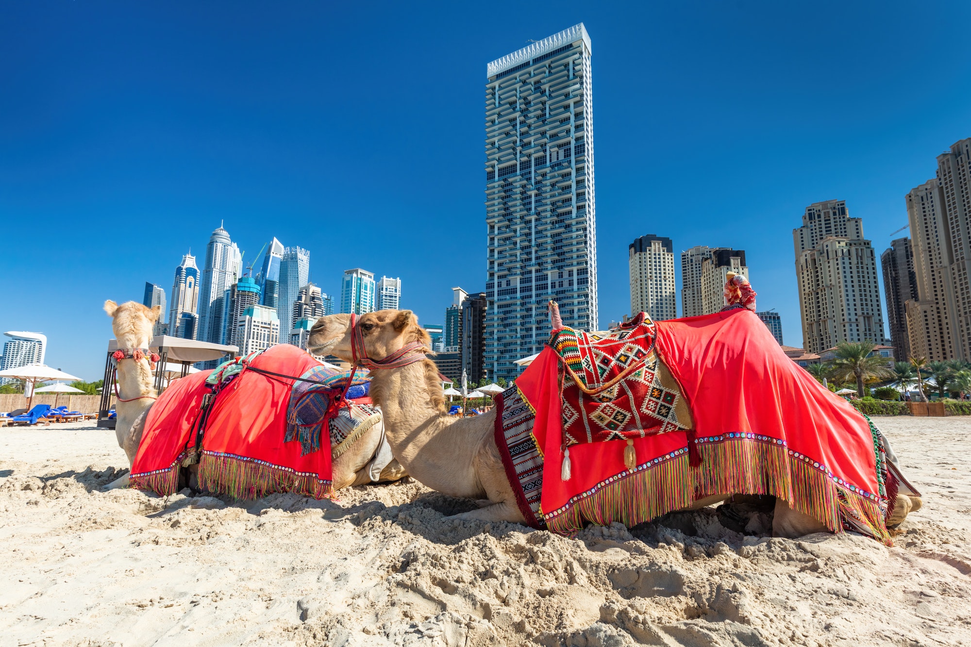 Top Leisure Activities to Enjoy in Dubai